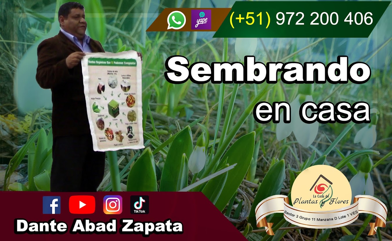Diseño publicitario